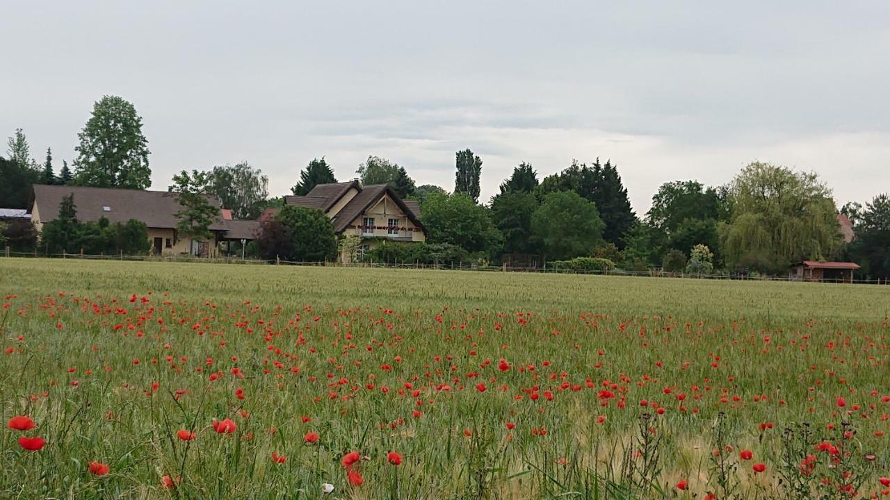 Gite Du Clos Paisible Jebsheim Eksteriør bilde